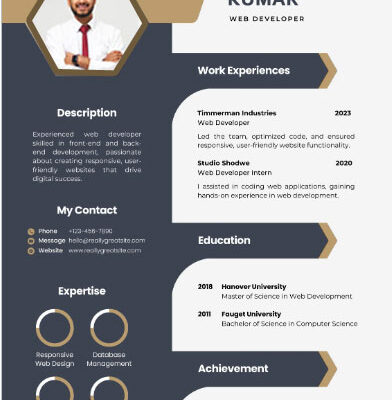 Resume Format For Professionals