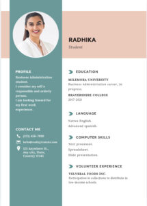 CV Format For Job Application - Cv Template 017 215x300 