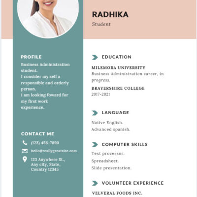 Resume Format For Professionals
