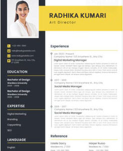 Resume Format For Professionals