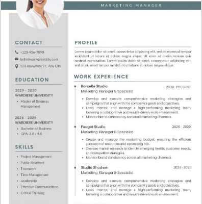 Resume Format For Professionals