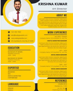 Resume Format For Professionals