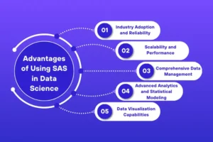Live Advanced SAS Programming for Data Efficiency and Automation